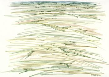 Landschaft in grünen Linien, Aufstand der Landschaft,  Farbstiftzeichnung, 1991