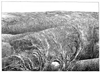 Am Anfang war, Physiognomia Arborum, Blatt 2, Federzeichnung, 1987