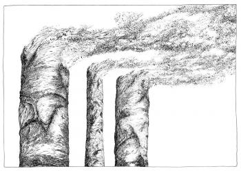 Dekonstruktion, Physiognomia Arborum, Blatt 11, Federzeichnung, 1987